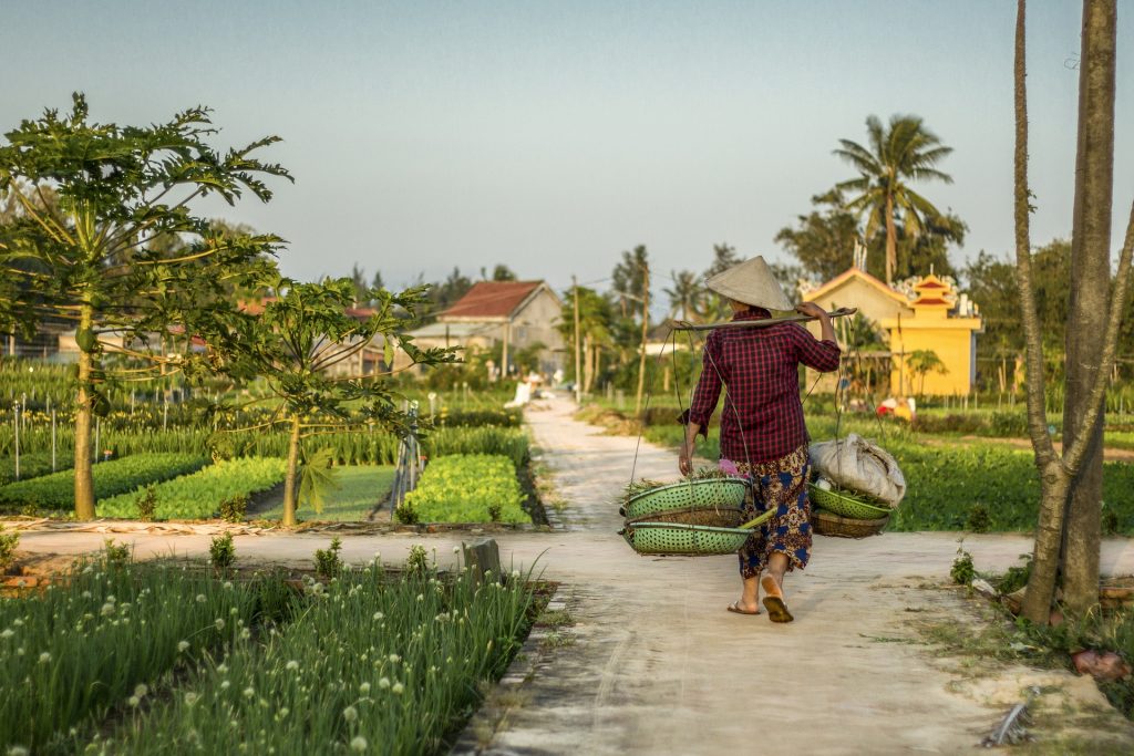 hoi an 5494203 1920 | SJourney