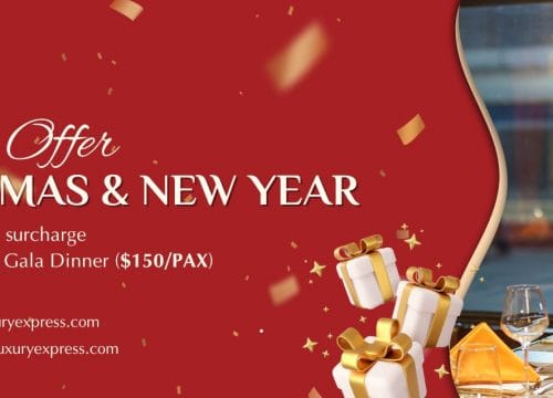 Christmas & New Year Special Offer 2025