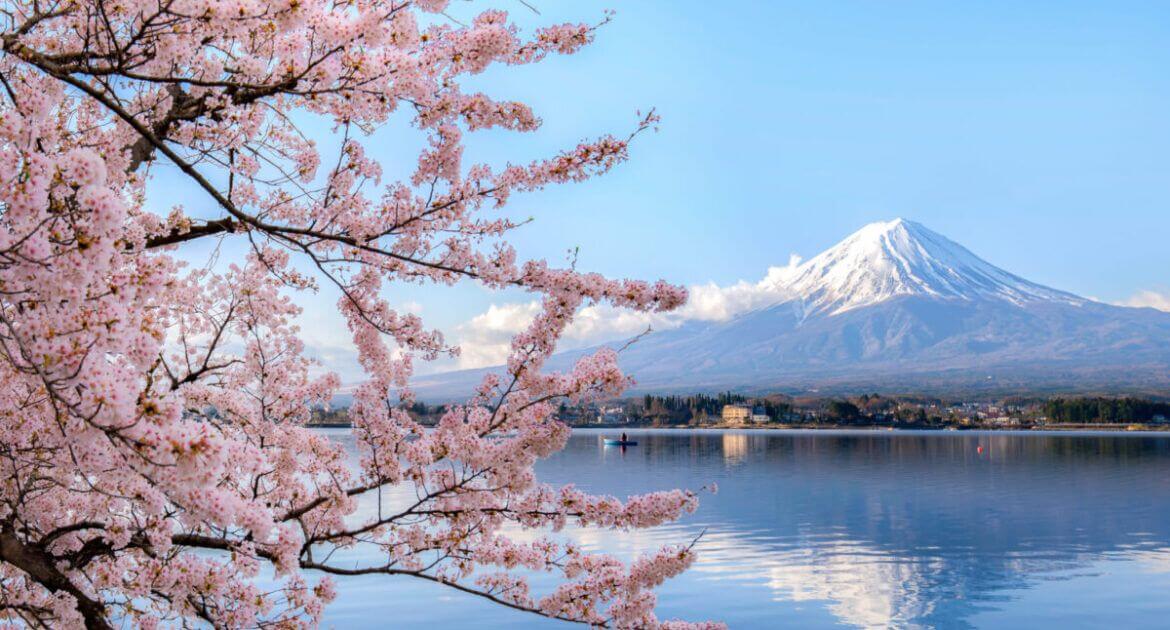 japan 1 1