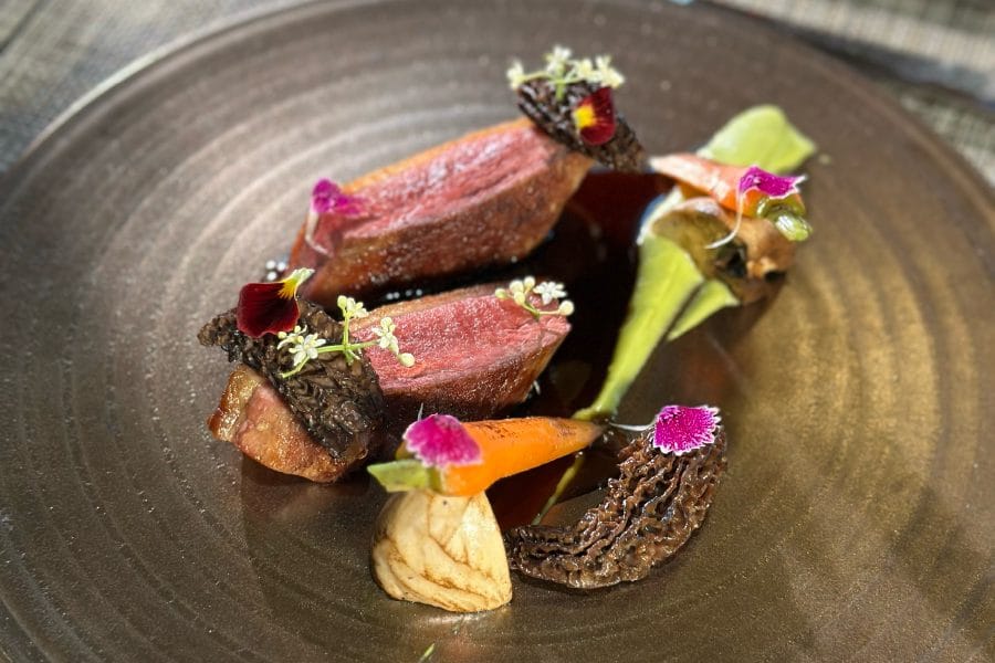 sjourney cuisine 2