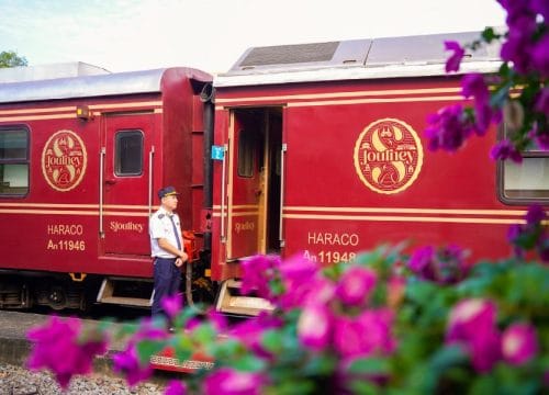 Christmas Classic Train: A Heritage Journey Through Vietnam's Festive Landscapes 75 Christmas Classic Train: A Heritage Journey Through Vietnam’s Festive Landscapes