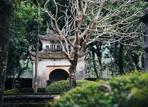 Hanoi to Ninh Binh Train: Discover Luxury Travel with Sjourney