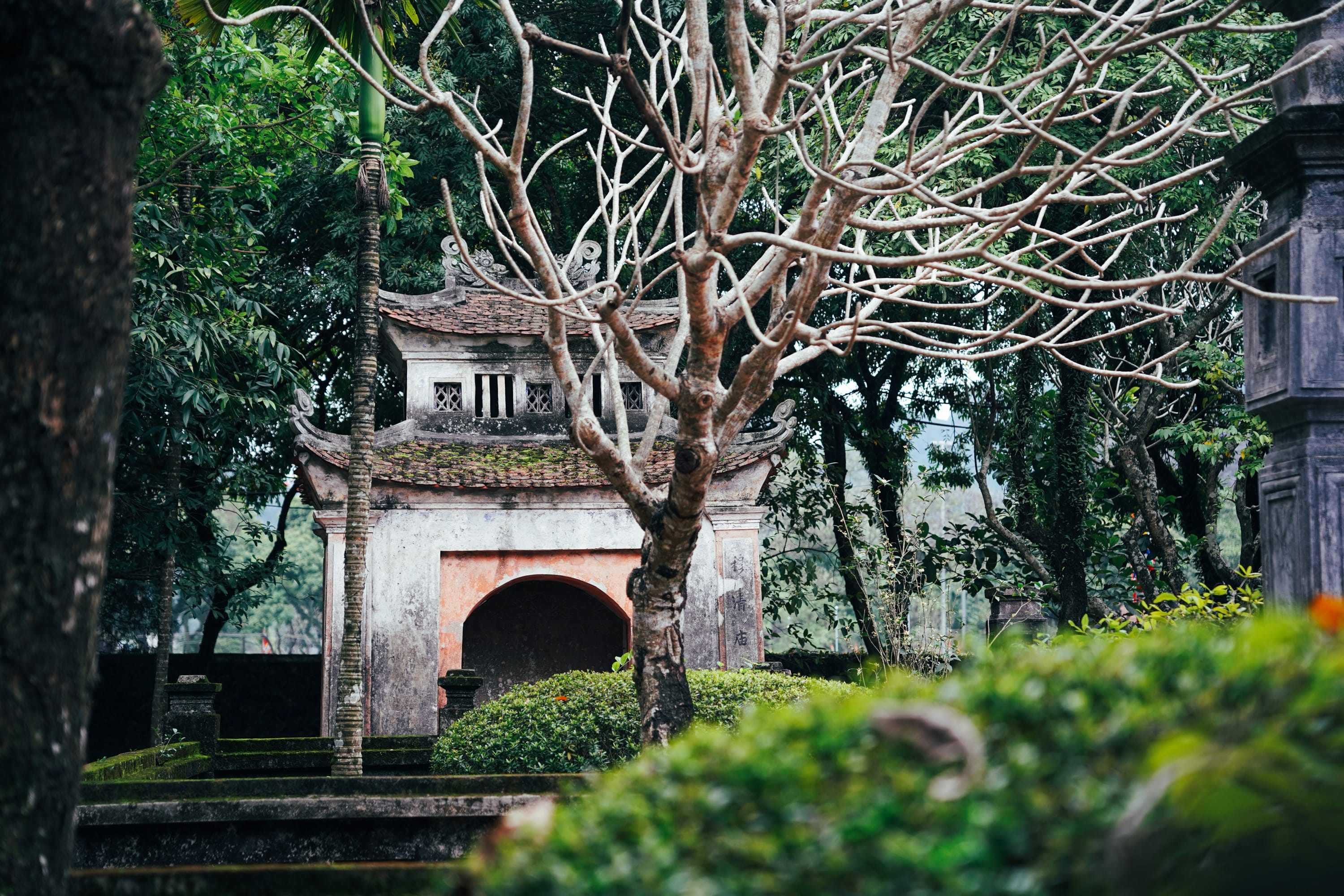 Hanoi to Ninh Binh Train: Discover Luxury Travel with Sjourney 1 hanoi to ninh binh train