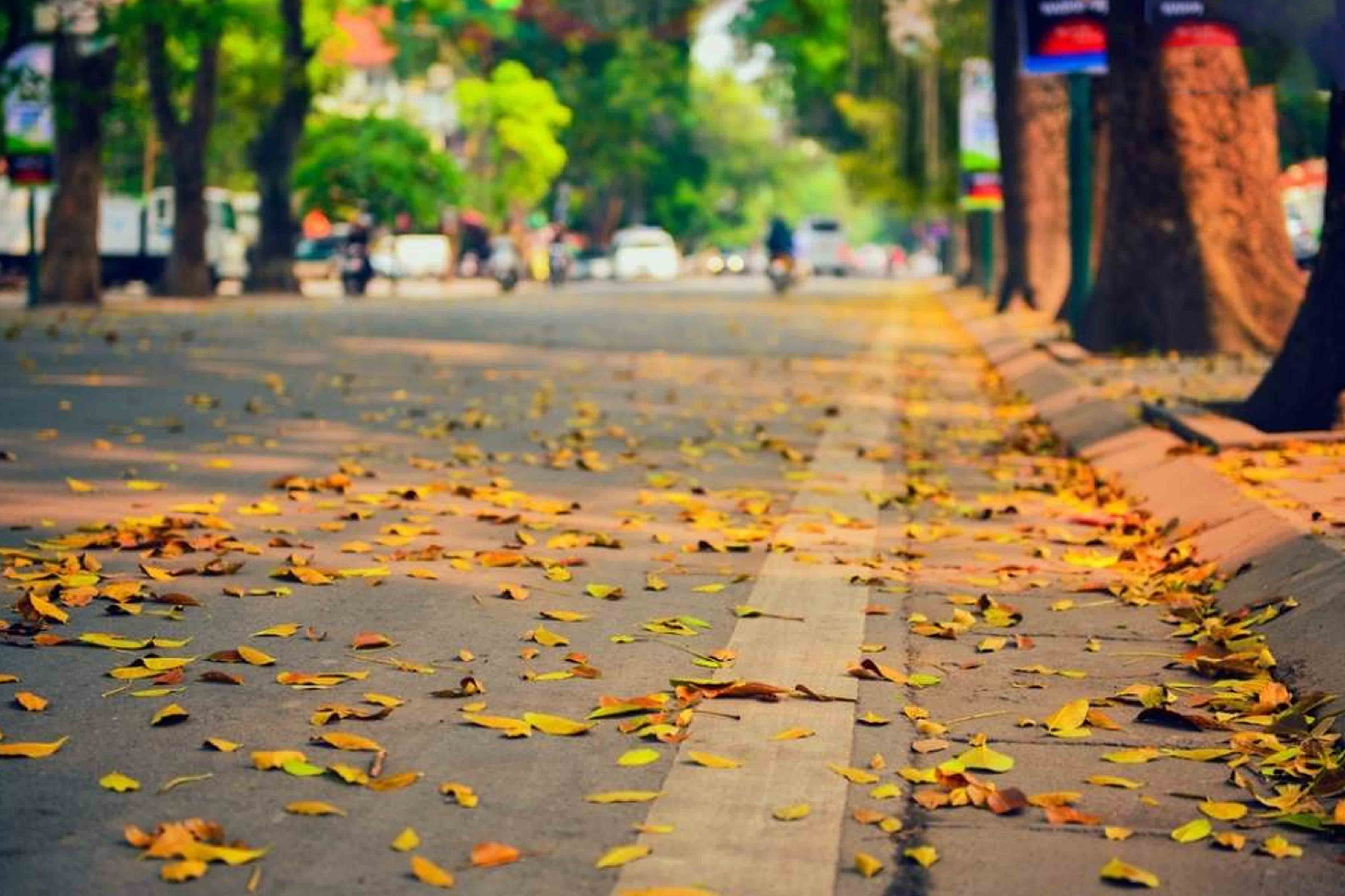 hanoi autumn
