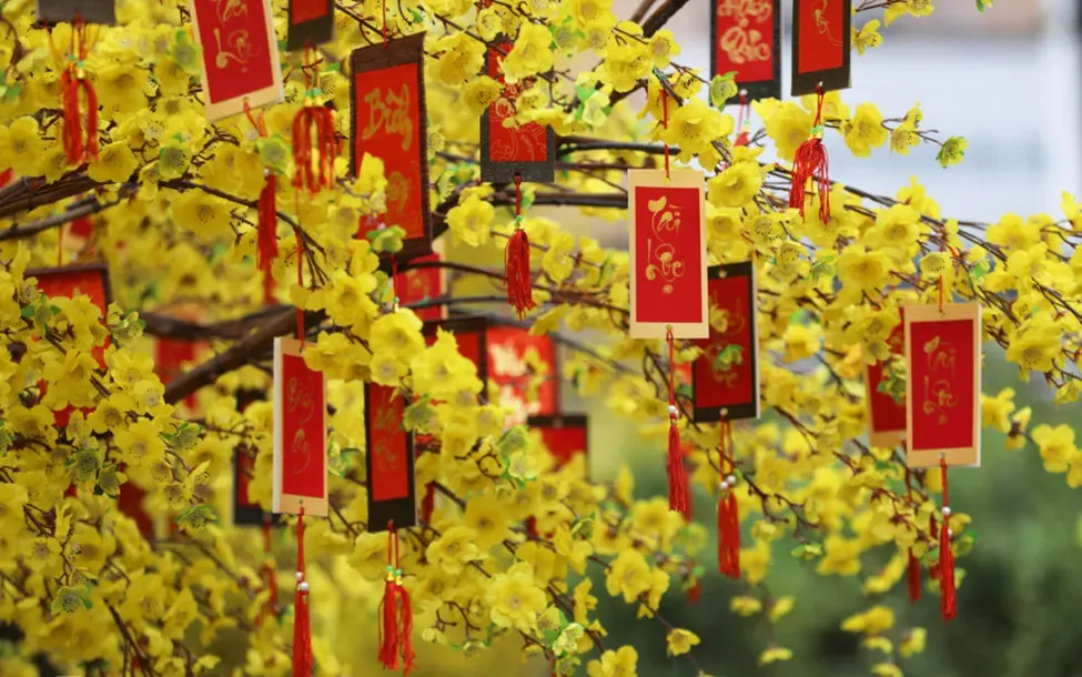 How Vietnam Celebrates Tet: A Deep Dive into Lunar New Year Traditions 2 decoration by yellow apricot blossoms