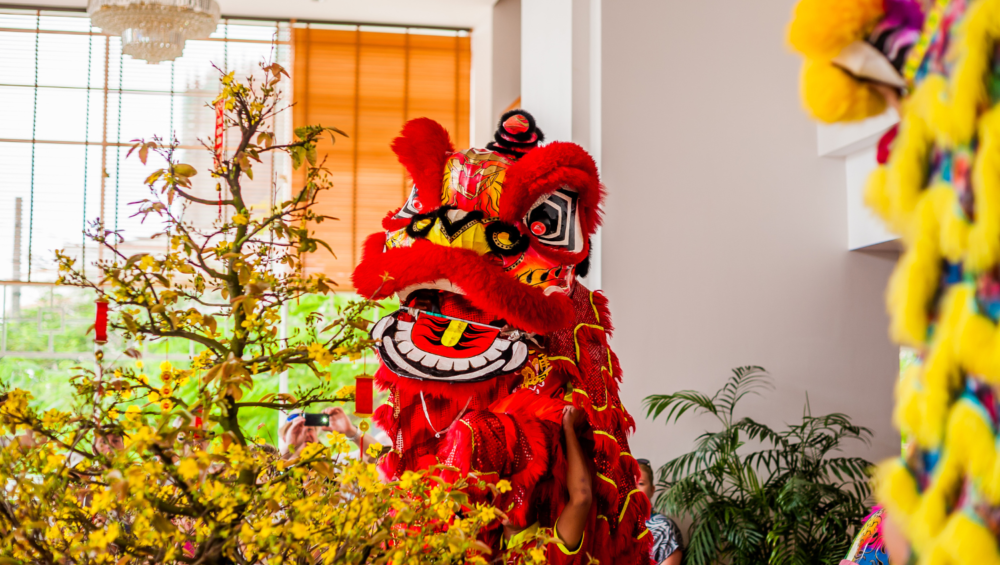 Vietnam Lunar New Year Travel by Train: A Luxury Family Journey with SJourney 2 Vietnam Lunar New Year travel by train