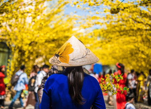 Best Places to Visit in Vietnam During Tet by Train: SJourney Travel Guide