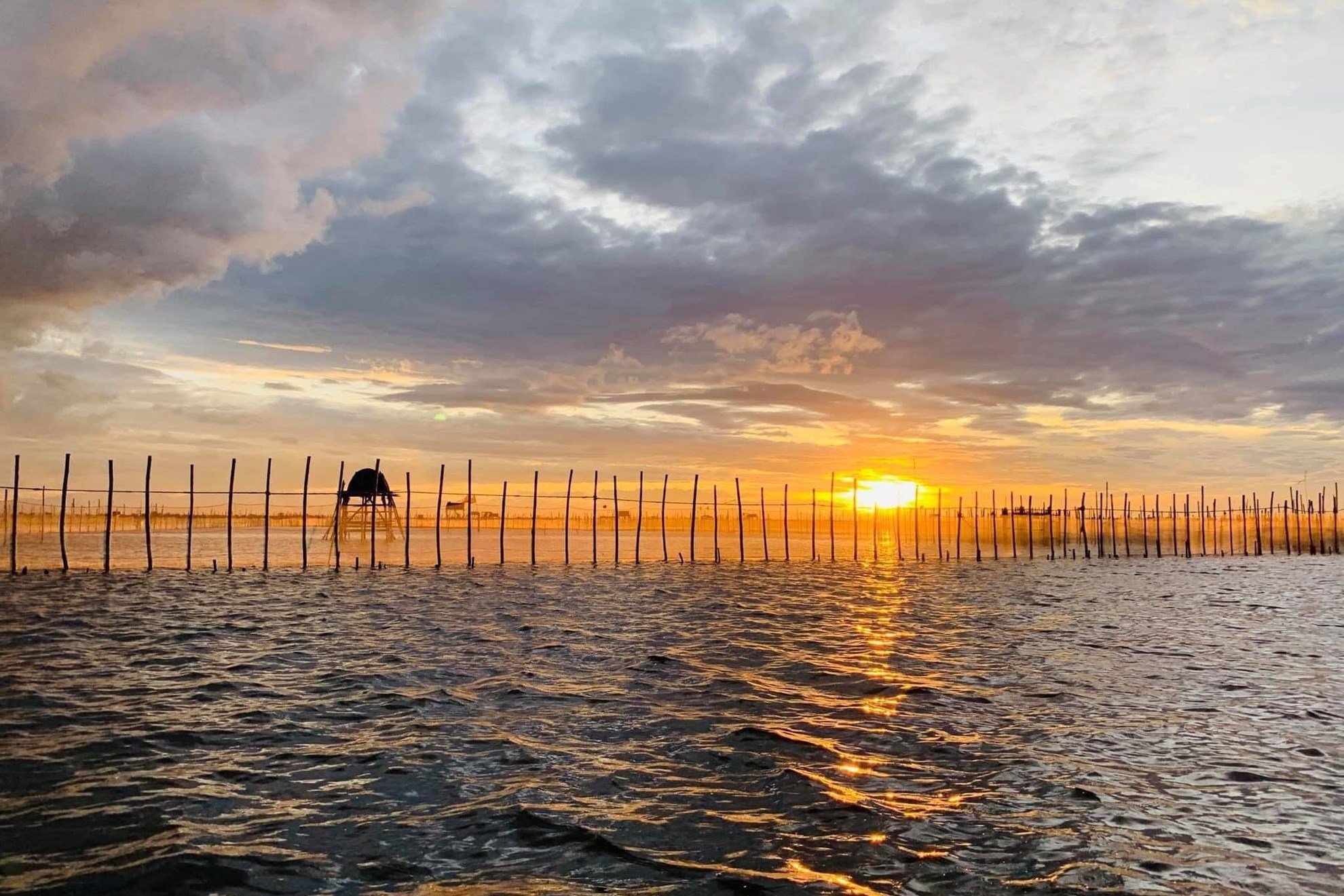 tong hop tour kham pha pha tam giang dam chuon thuy bieu tam giang