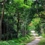 Cuc Phuong National Park