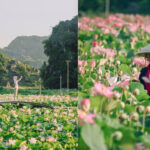 best time to visit ninh binh