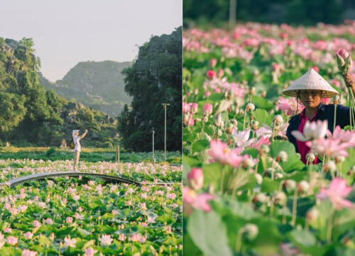 Best Time to Visit Ninh Binh – When to Go for the Perfect Experience