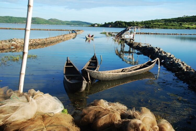 dam o loan dam o loan