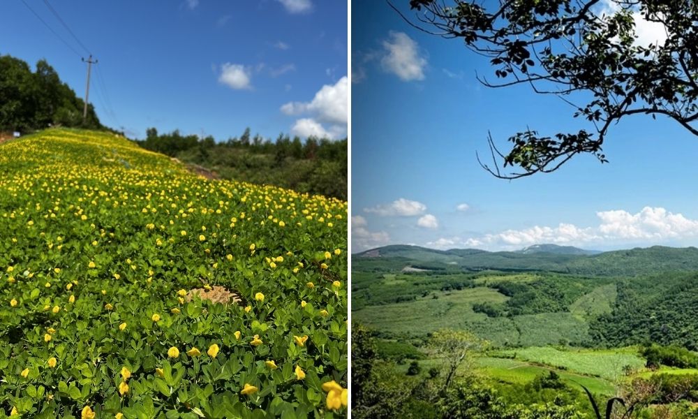 exploring van hoa plateau