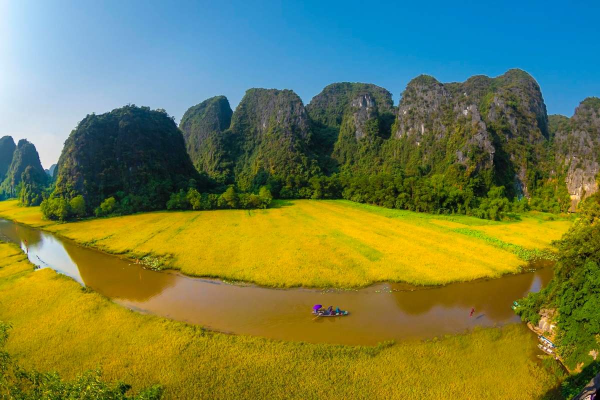 ninh-binh-golden-rice ninh binh golden rice
