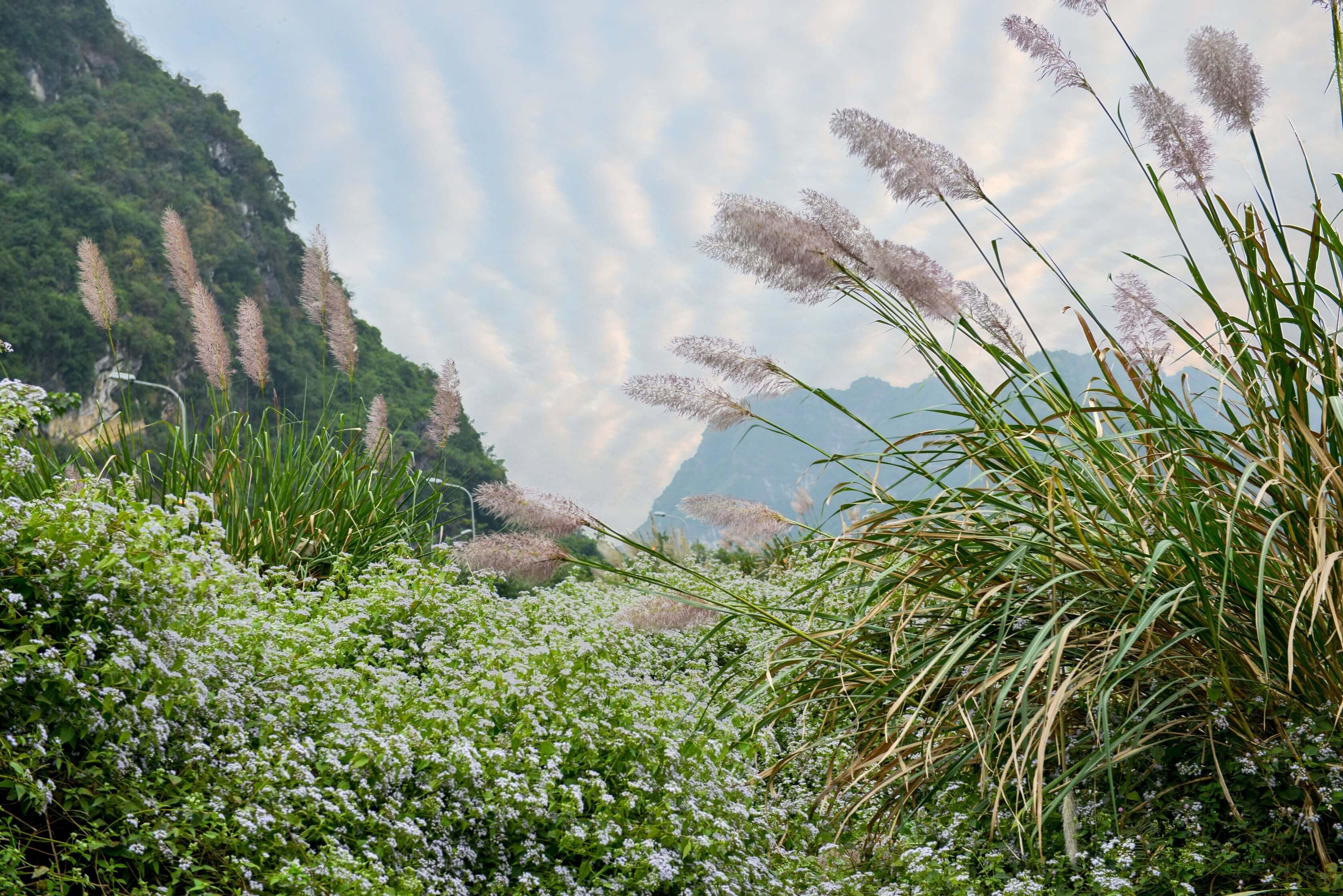 ninh-binh-winter ninh binh winter