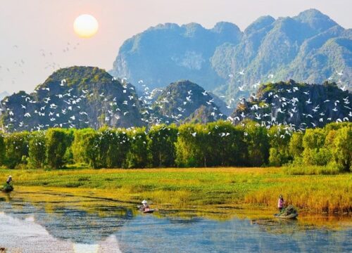 Bird Valley Ninh Binh: Discover the Magic of Thung Nham Bird Park 1 Bird Valley Ninh Binh: Discover the Magic of Thung Nham Bird Park