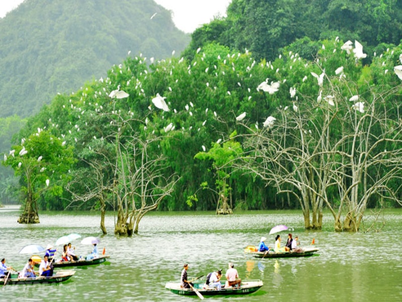 thung nham boat tour ninh binh