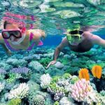 Snorkeling Diving at Hon Dai