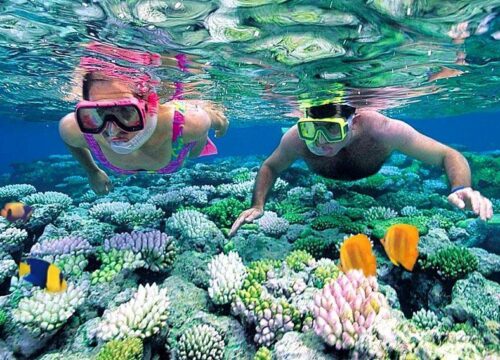 Breathtaking Cham Islands: The Ultimate Guide to Cu Lao Cham, Vietnam (2026)