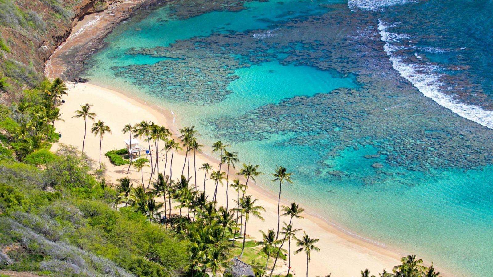 cham island snorkelling