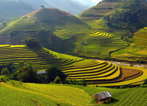 Lao Chai Village: A Timeless Escape into the Heart of Sapa