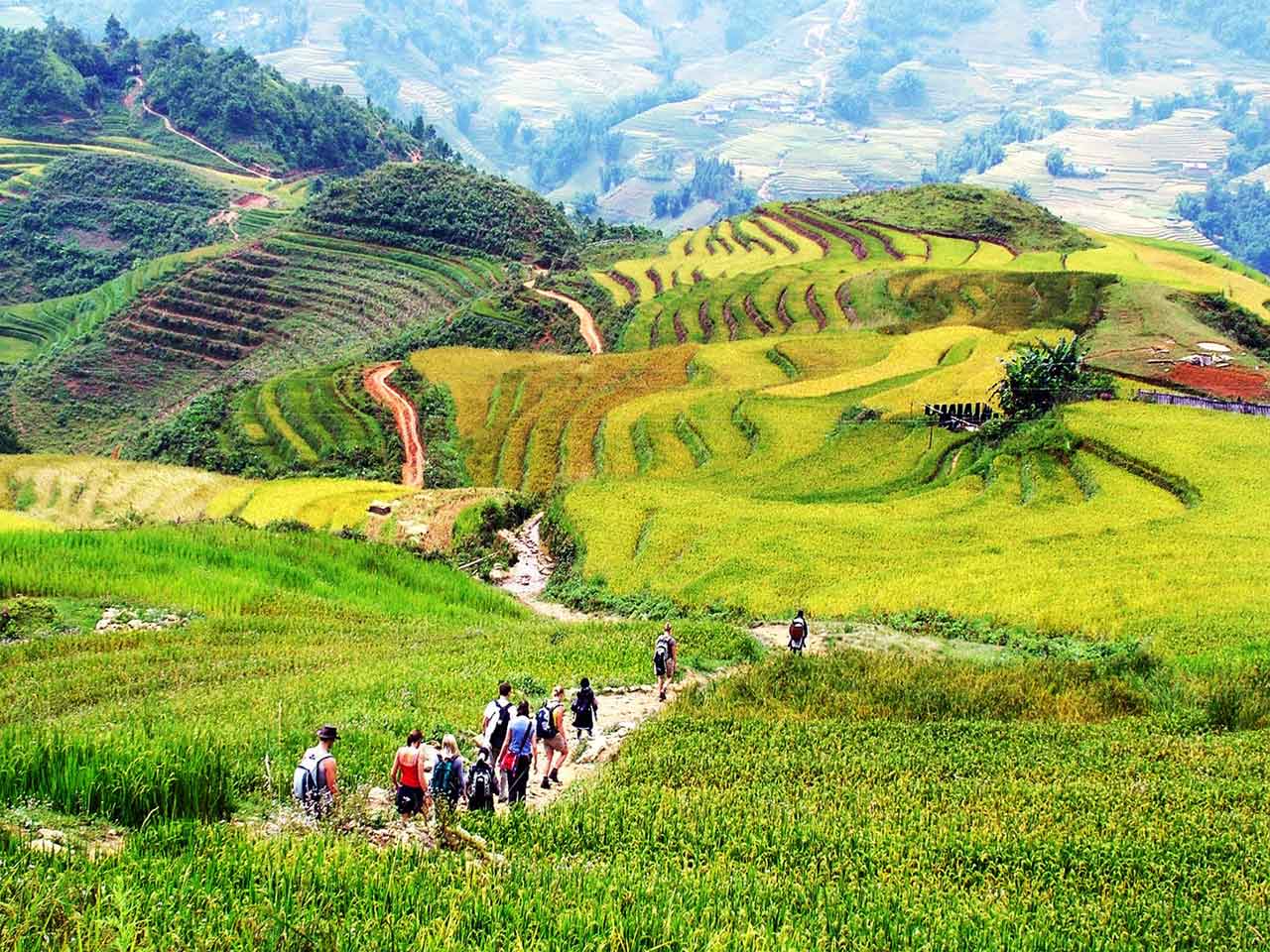 sapa trekking sapa trekking