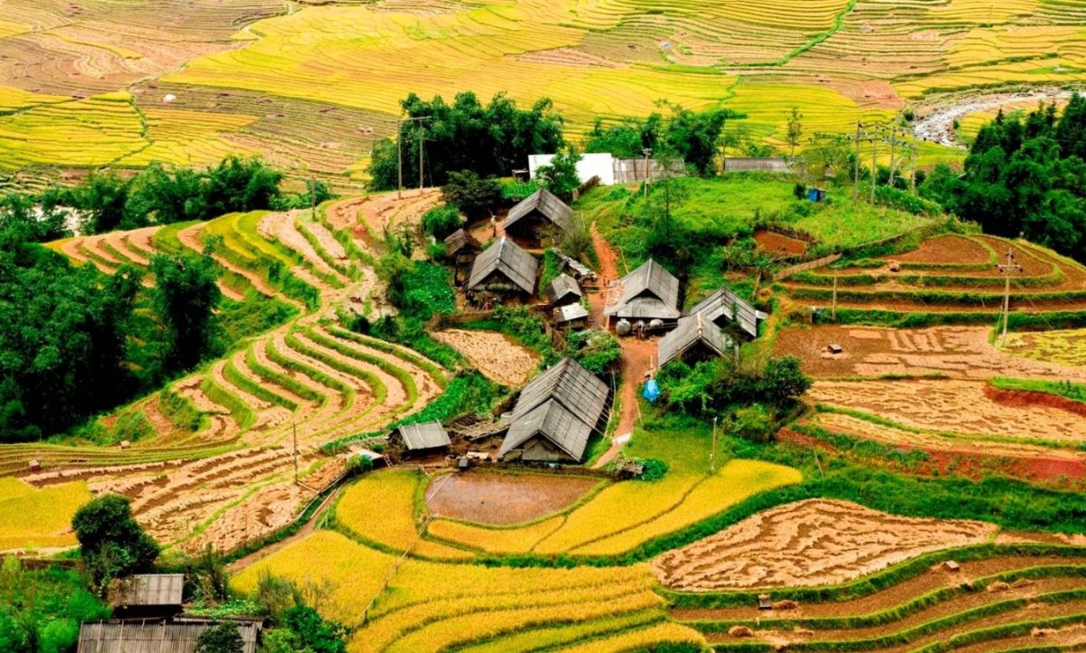 ta phin vietnam ta phin vietnam