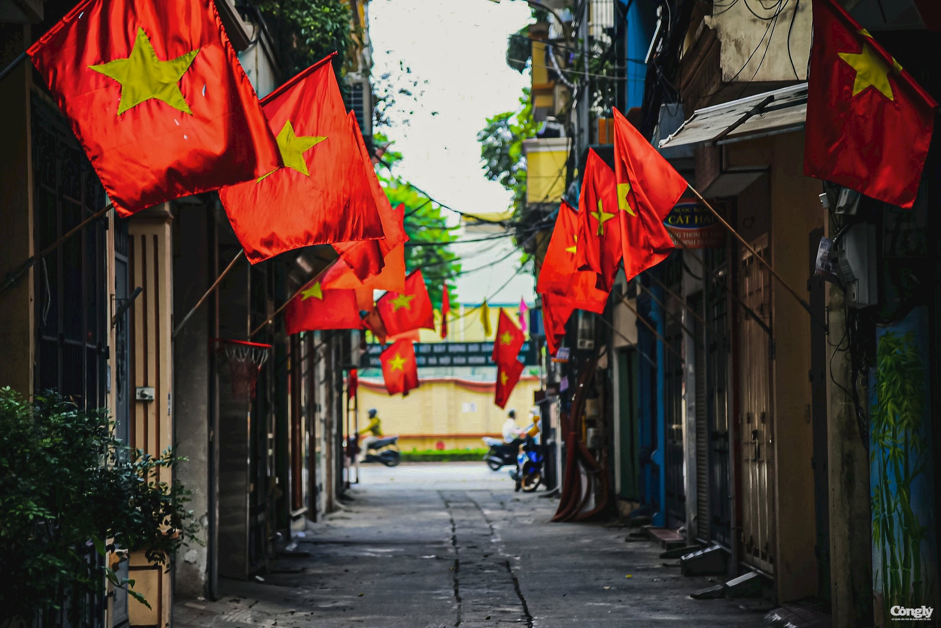 vietnamese flags