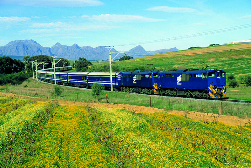 Blue-Train-past-Hyde-flowers