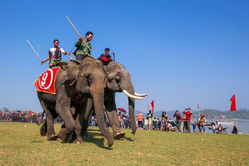 Elephant Running Festival