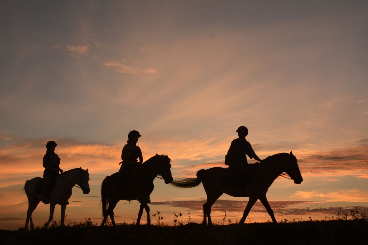 Explore the countryside by horseback riding