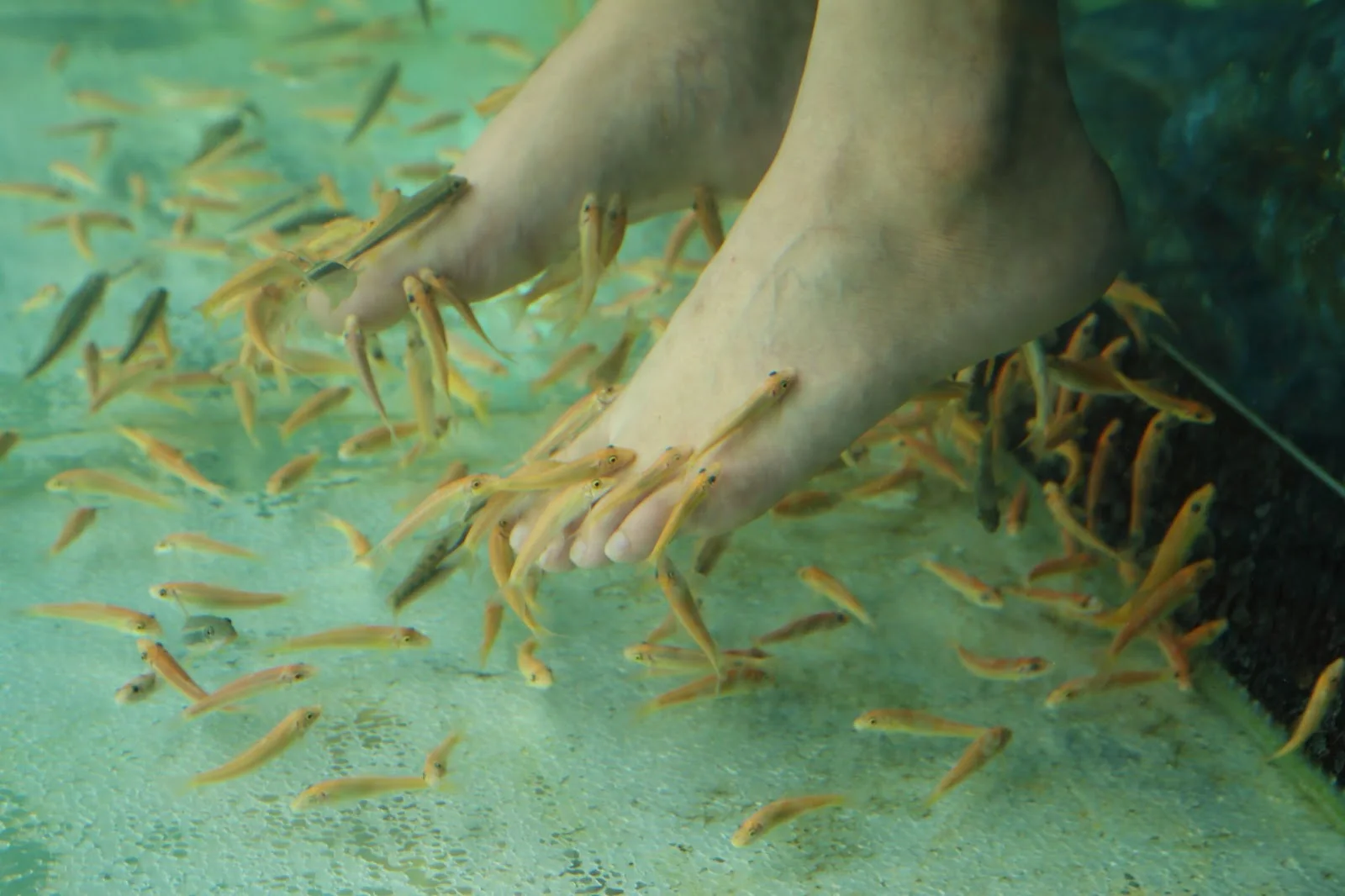 Fish foot massage