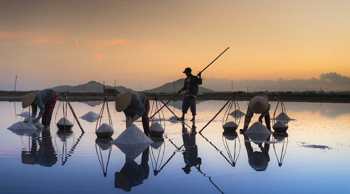  Hon-Khoi-salt-fields-harvesting