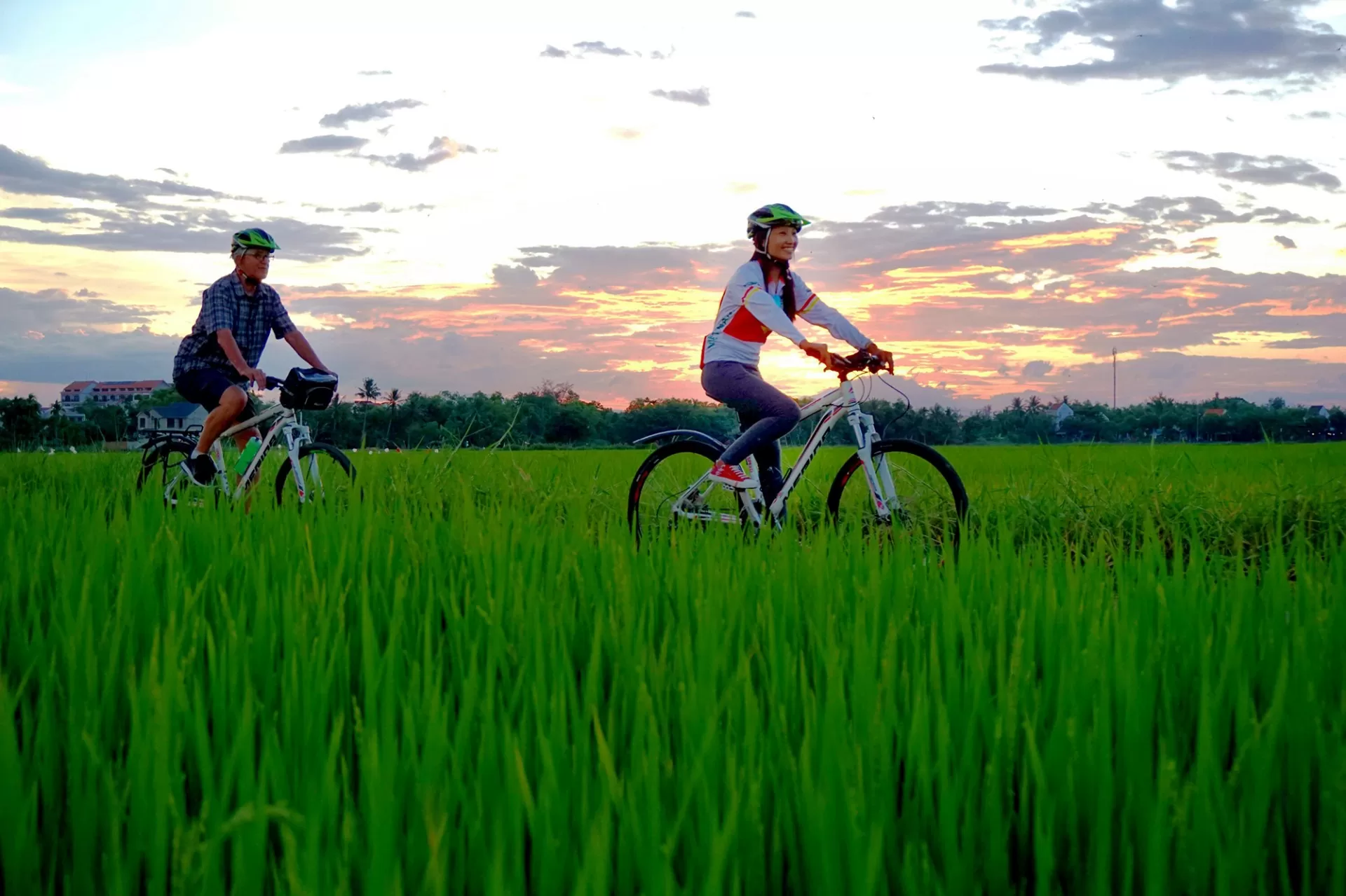  bike-cycling-on-a-rice_fields