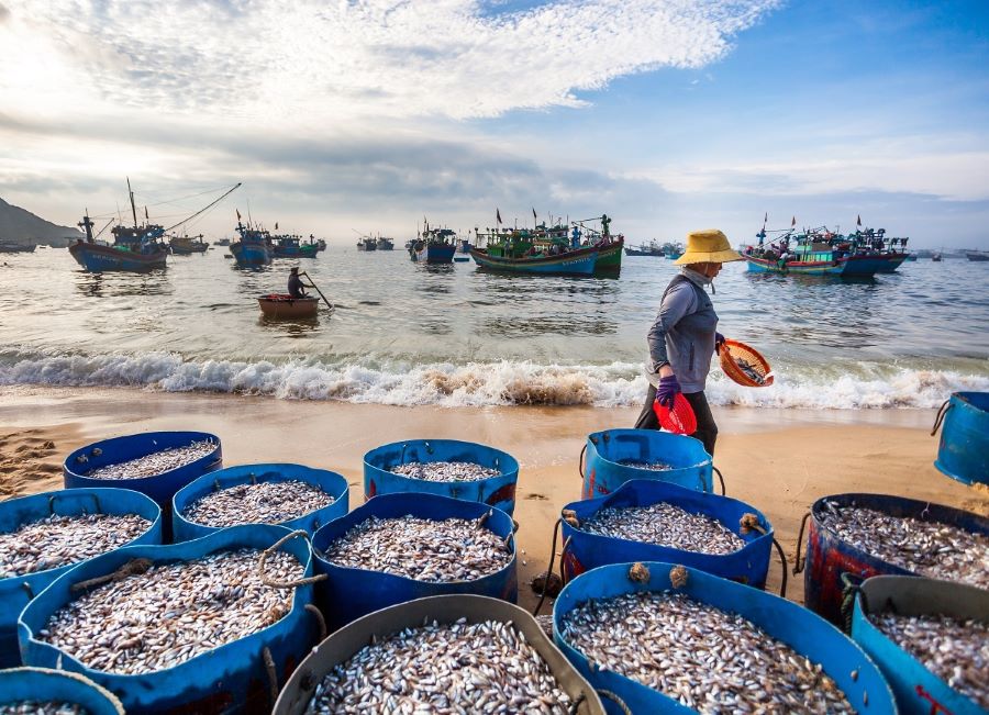 fishing-village-by-the-beac