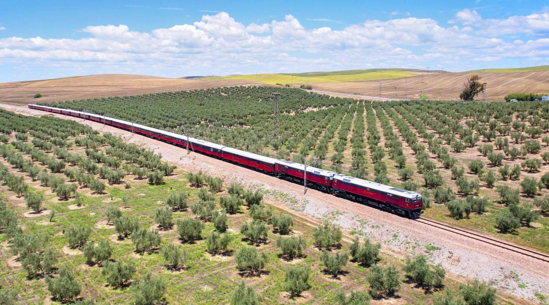 the-al-andalus-train-going-through-vineyards